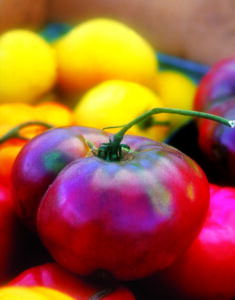 Purple tomato